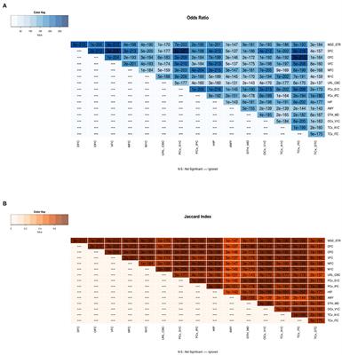 BrainDevo: Spatio-Temporal Gene Regulation Repository of Brain Development